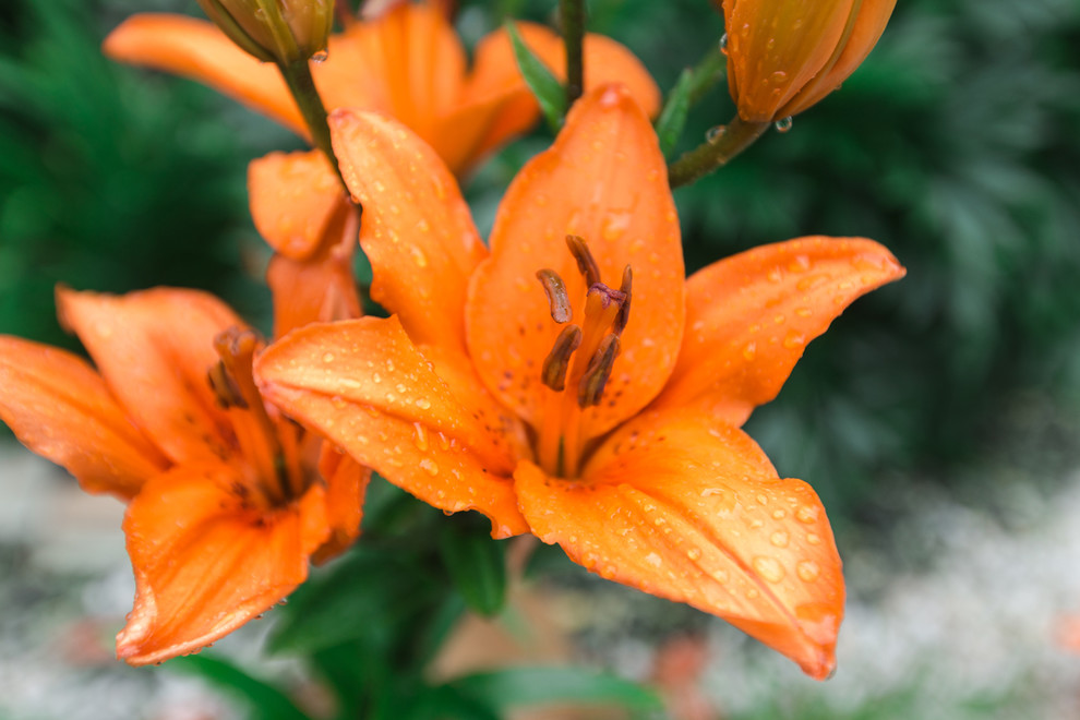 Экстерьер загородного дома