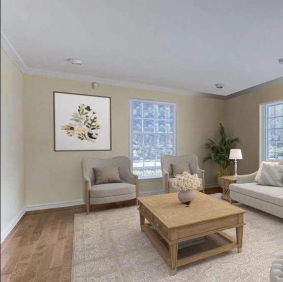 Help me pick paint color samples.