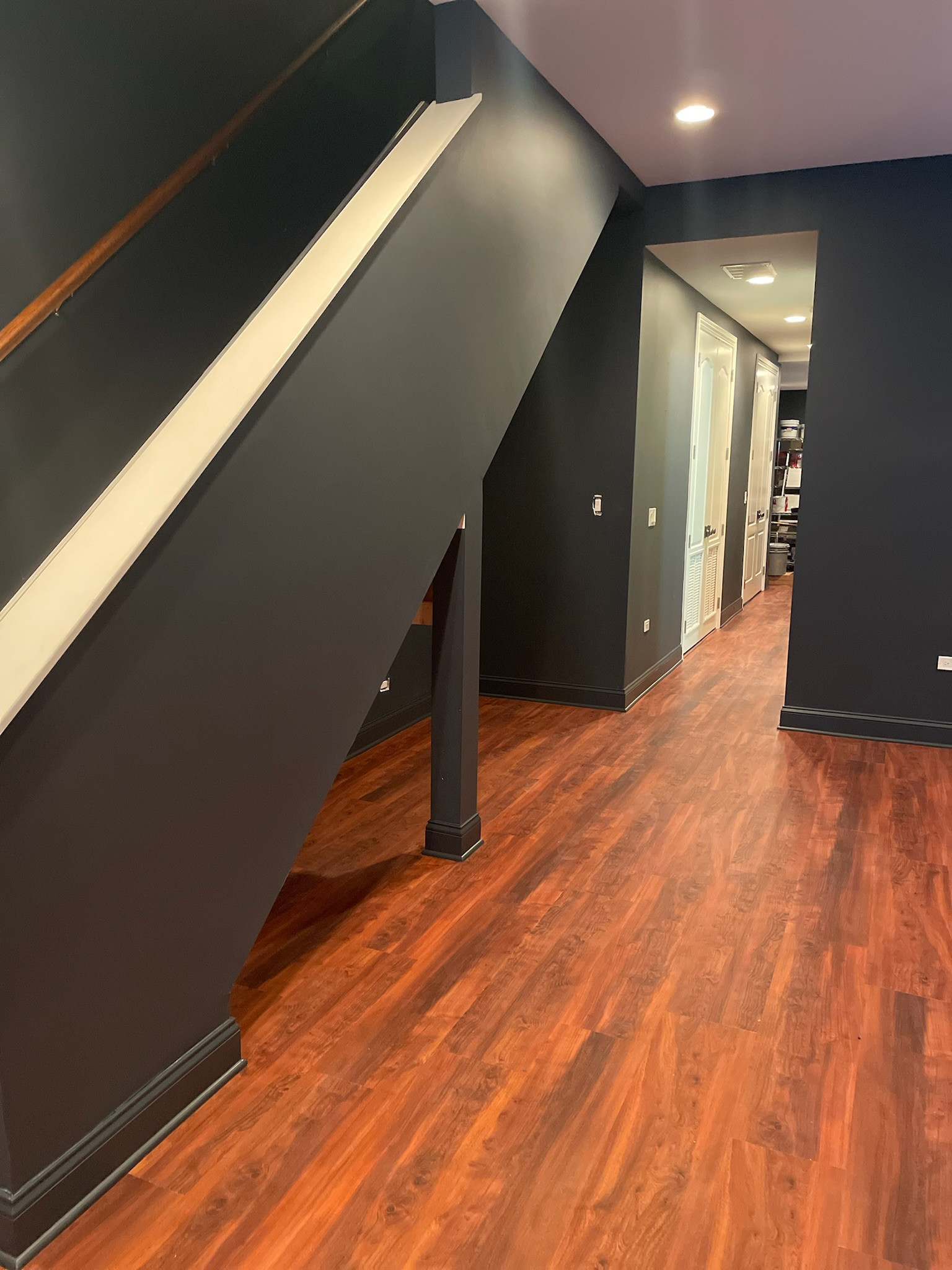 Bucktown, basement remodel