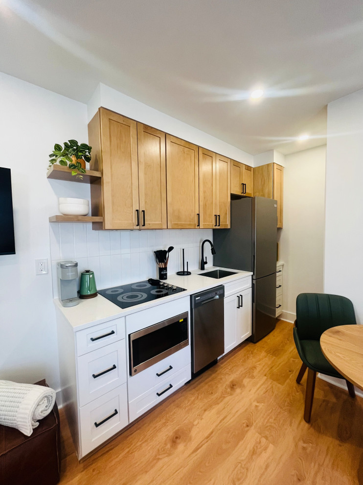 Capitol Hill, DC Renovation