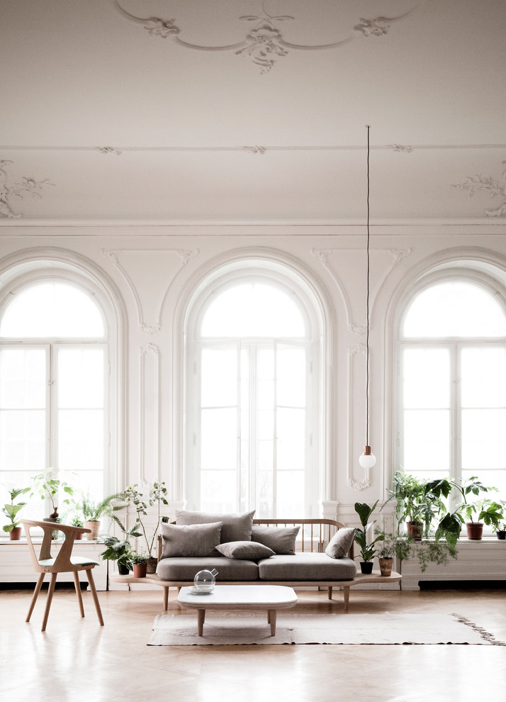 This is an example of a scandinavian living room in Paris.