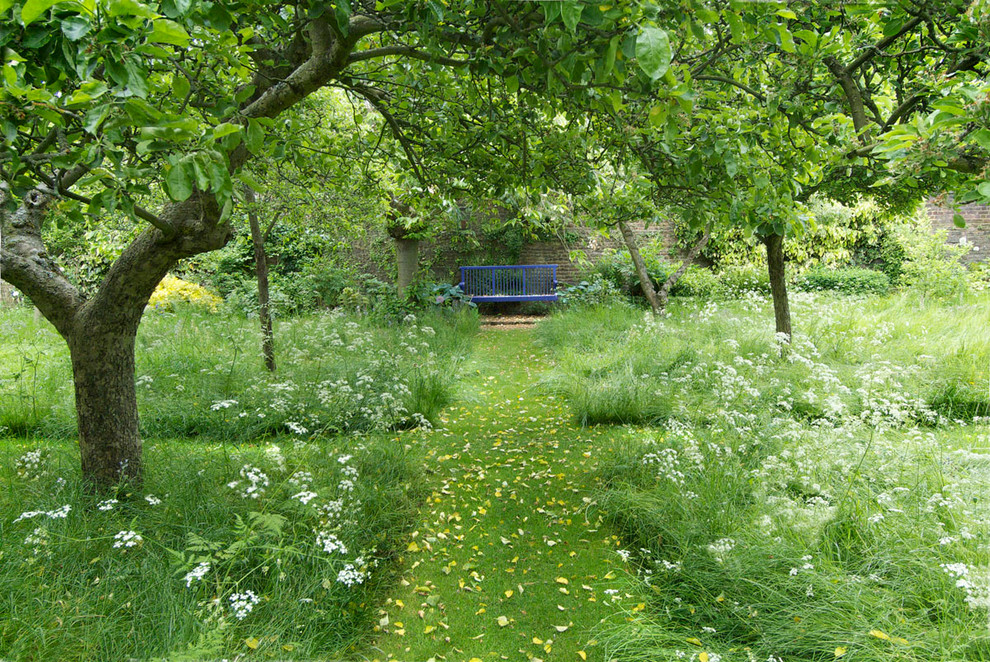 Inspiration for a mid-sized transitional backyard shaded garden for spring in New York with a garden path and gravel.