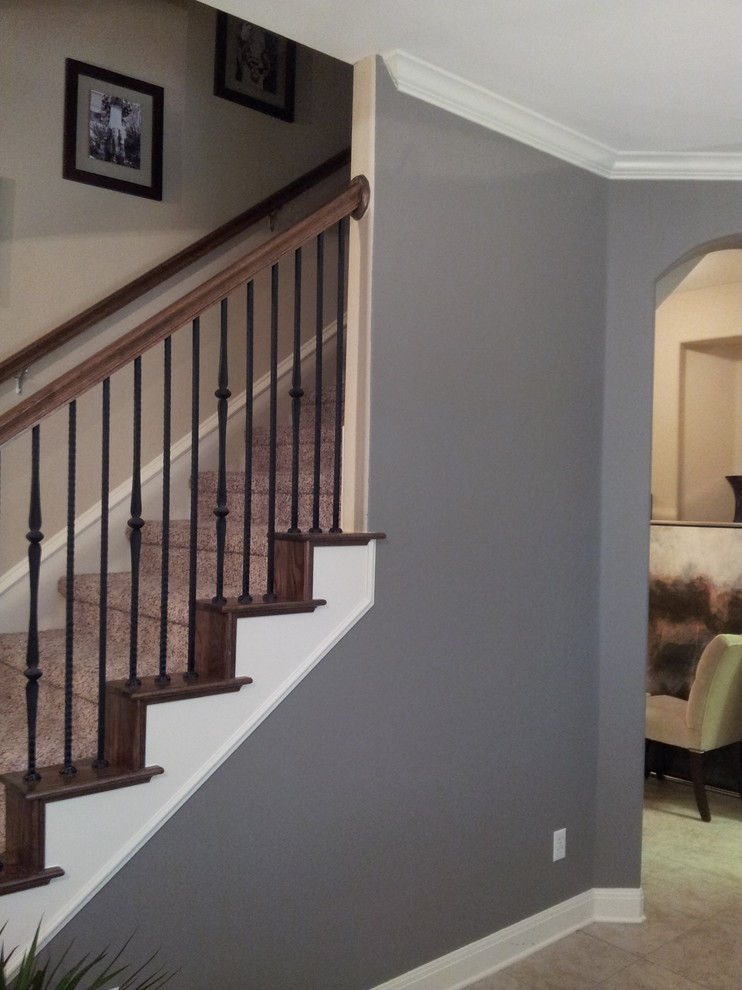 Mid-sized transitional carpeted straight metal railing staircase photo in Austin with carpeted risers