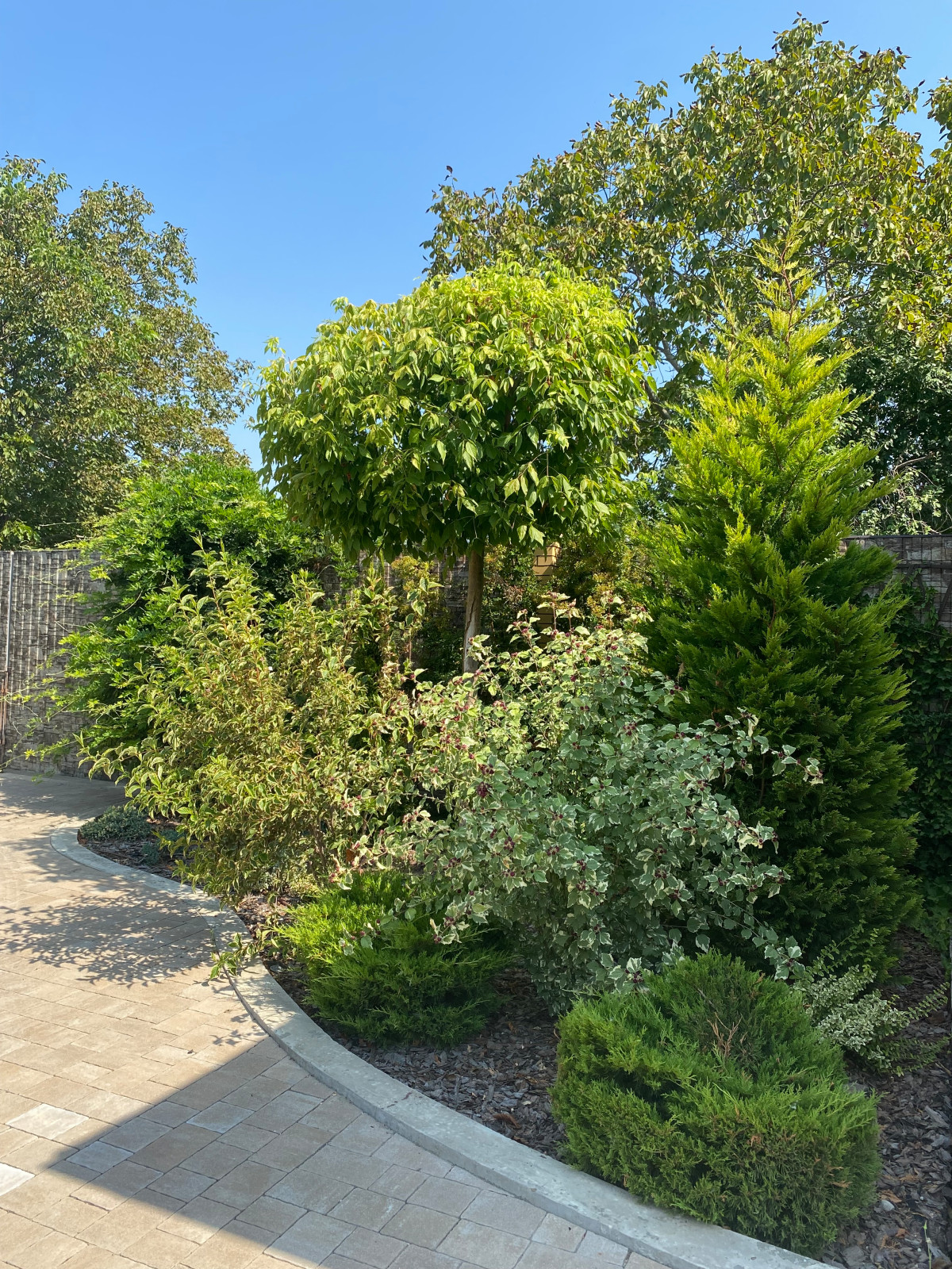 Загородный дом "Инжир" Краснодарский край,  ст.Елизаветинская