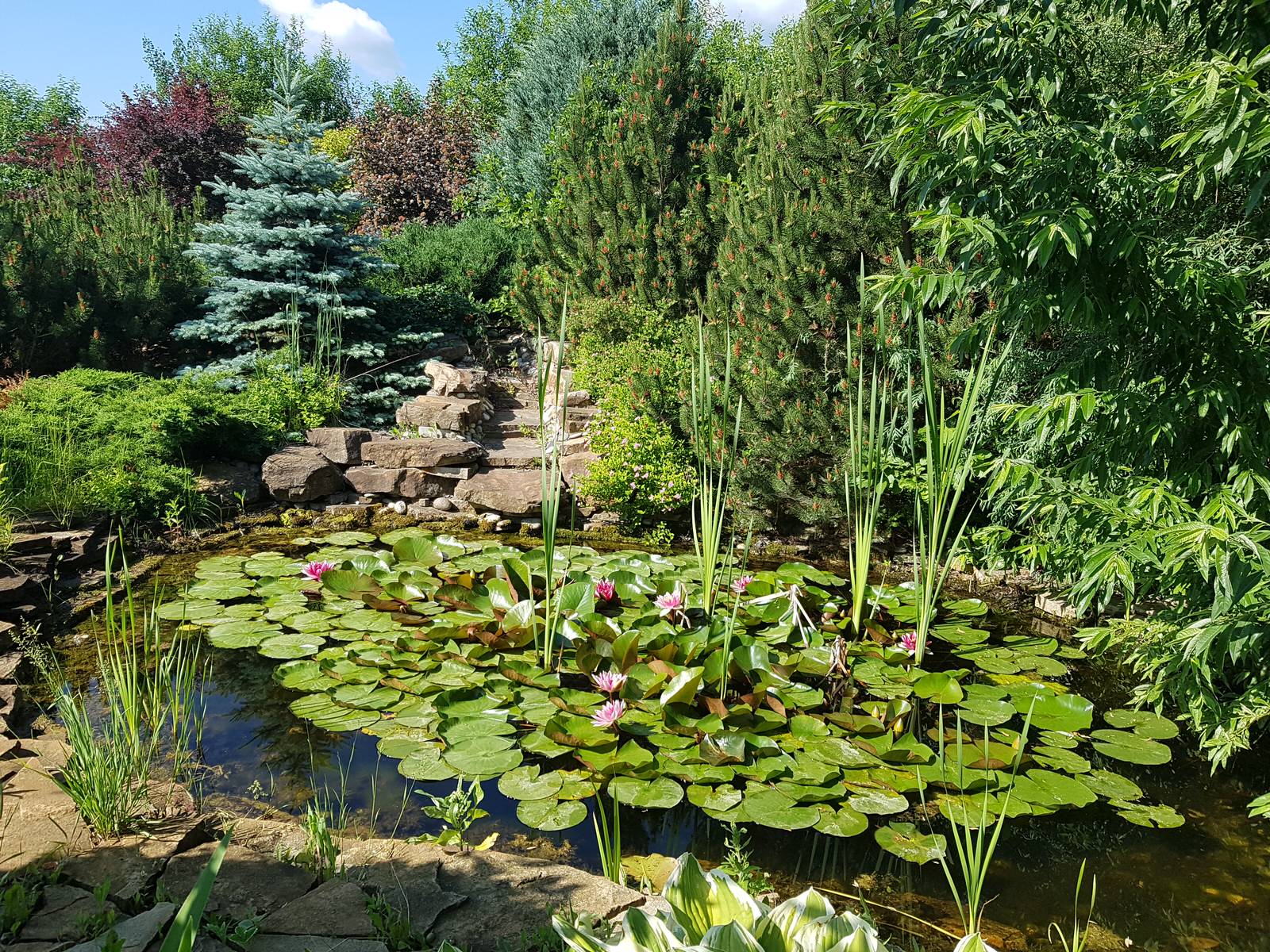 Косовка Калужское шоссе