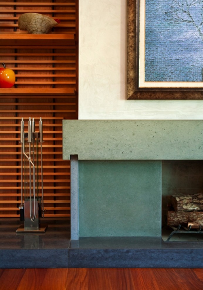 Design ideas for a contemporary living room in San Francisco.
