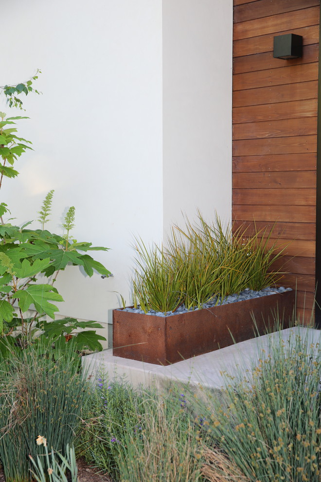 This is an example of a large contemporary full sun garden in San Francisco.