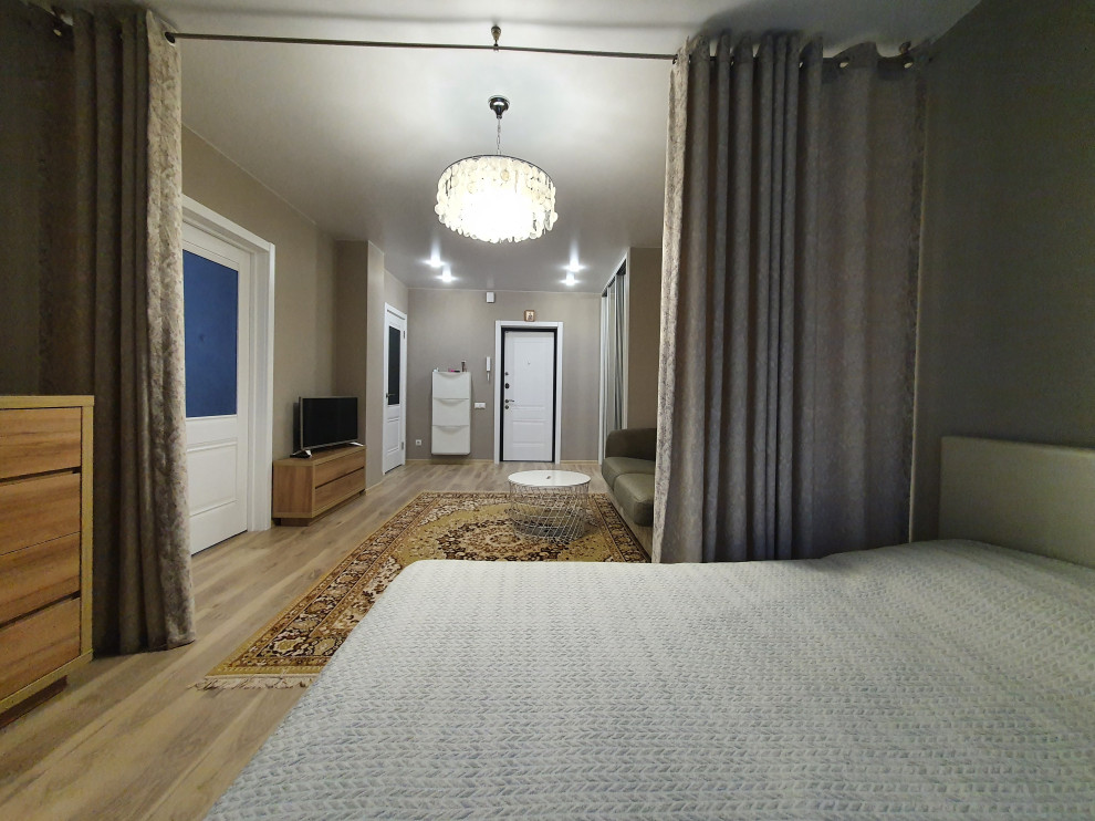 Переделка существующей гостиной-спальни-прихожей 23,26 м/кв