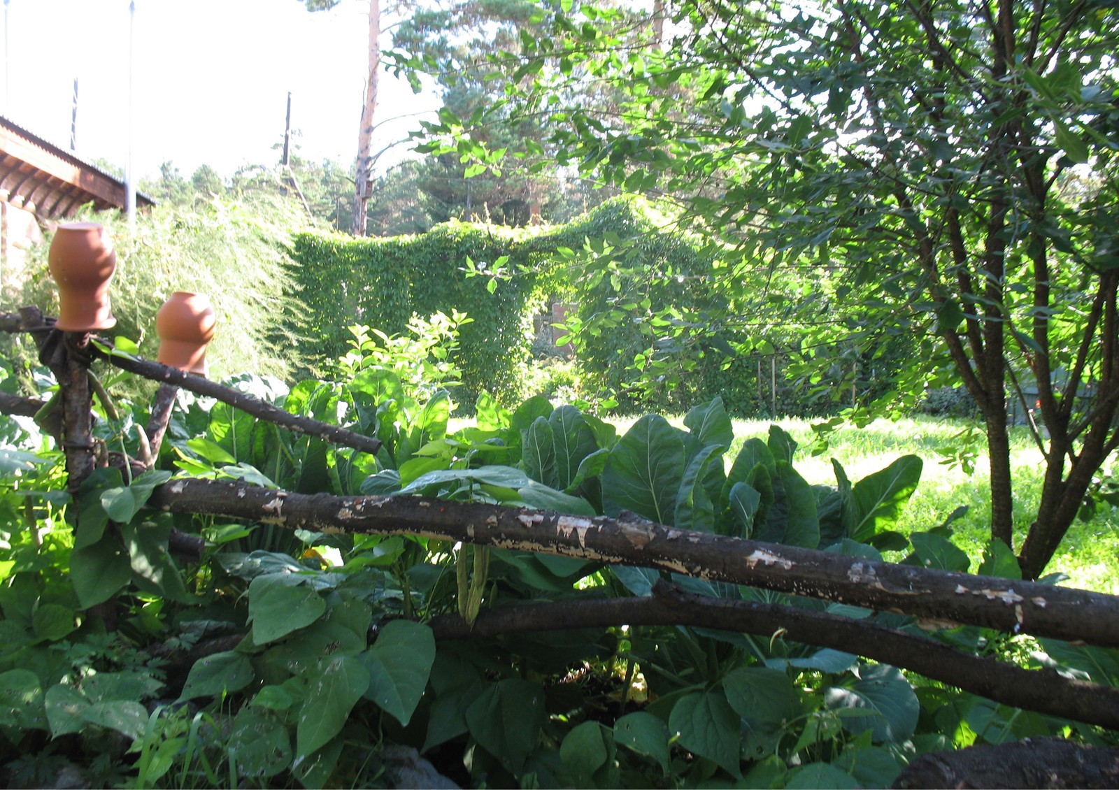 Сад в стиле кантри.