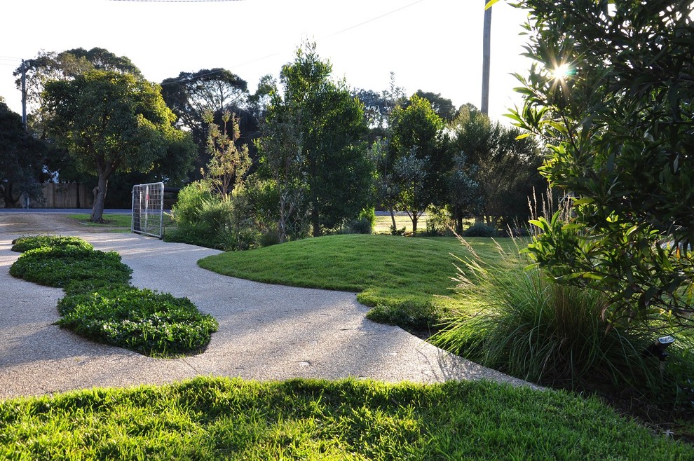 Photo of a contemporary garden.