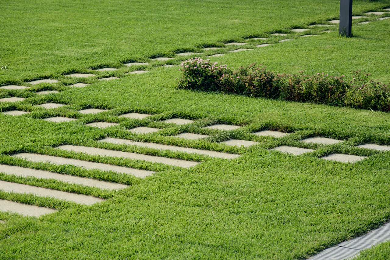 Карелия сад