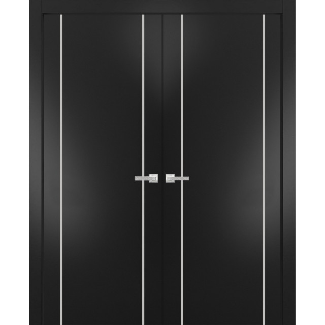 Solid French Double Doors | Planum 0410 Matte Black with, 48