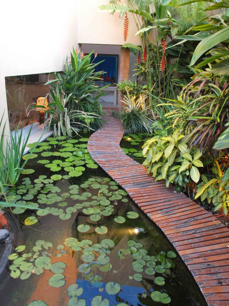 Tropical garden in Mexico City with a water feature.
