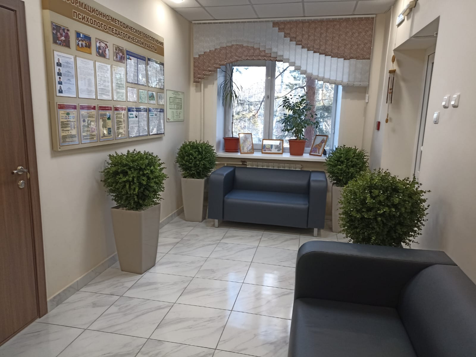 Растения для офисного пространства