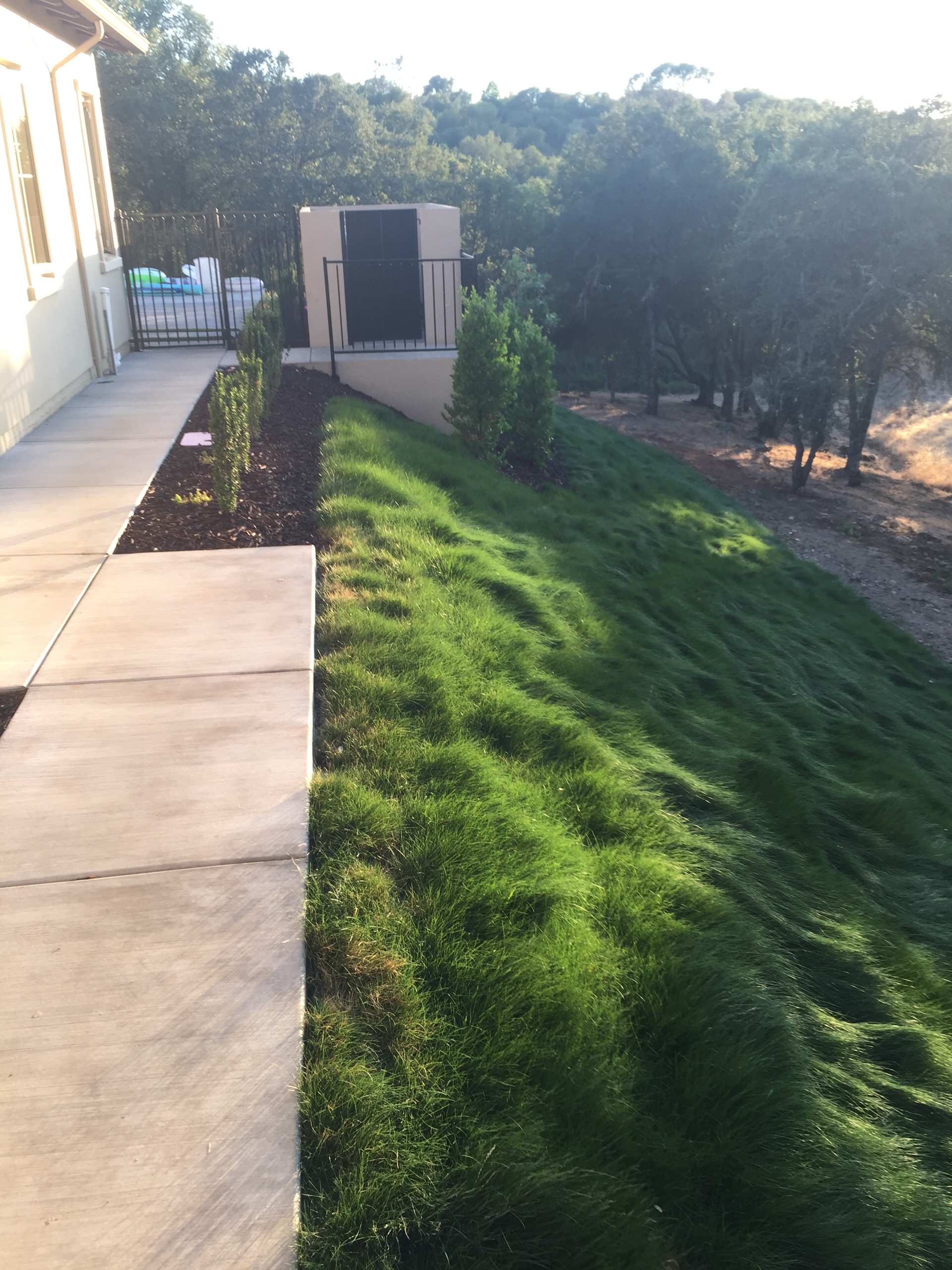 El Dorado Hills - Serrano Complete Landscape