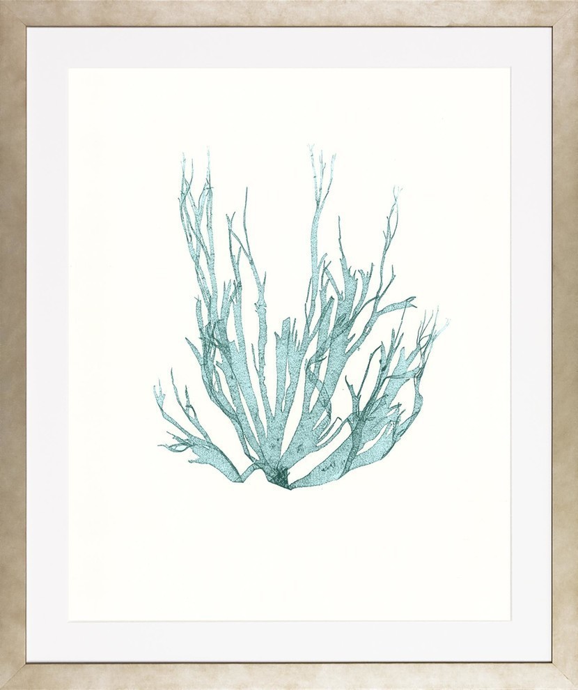 Blue Seaweeds, Medium Framed Art Print, 25