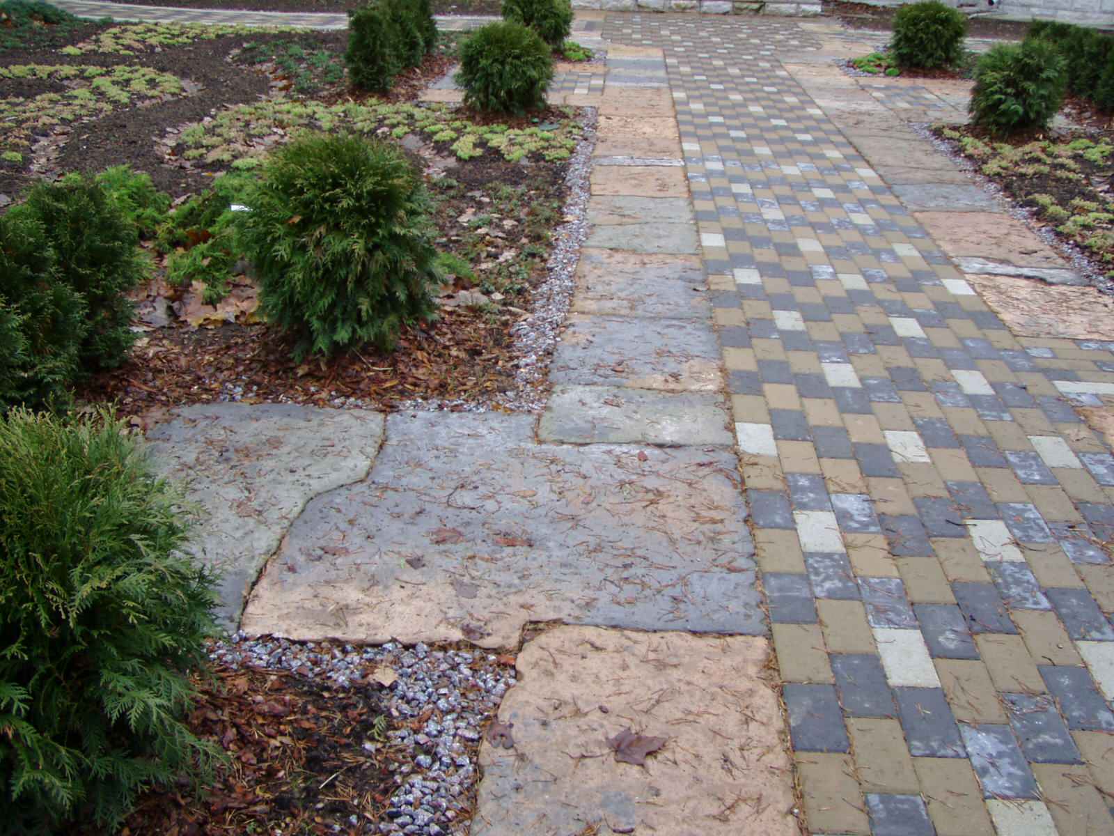 лесная зона