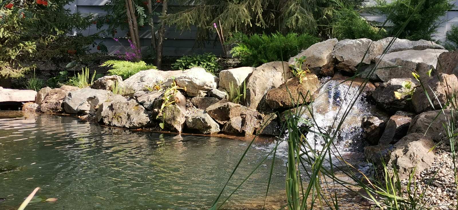 Декоративный пруд