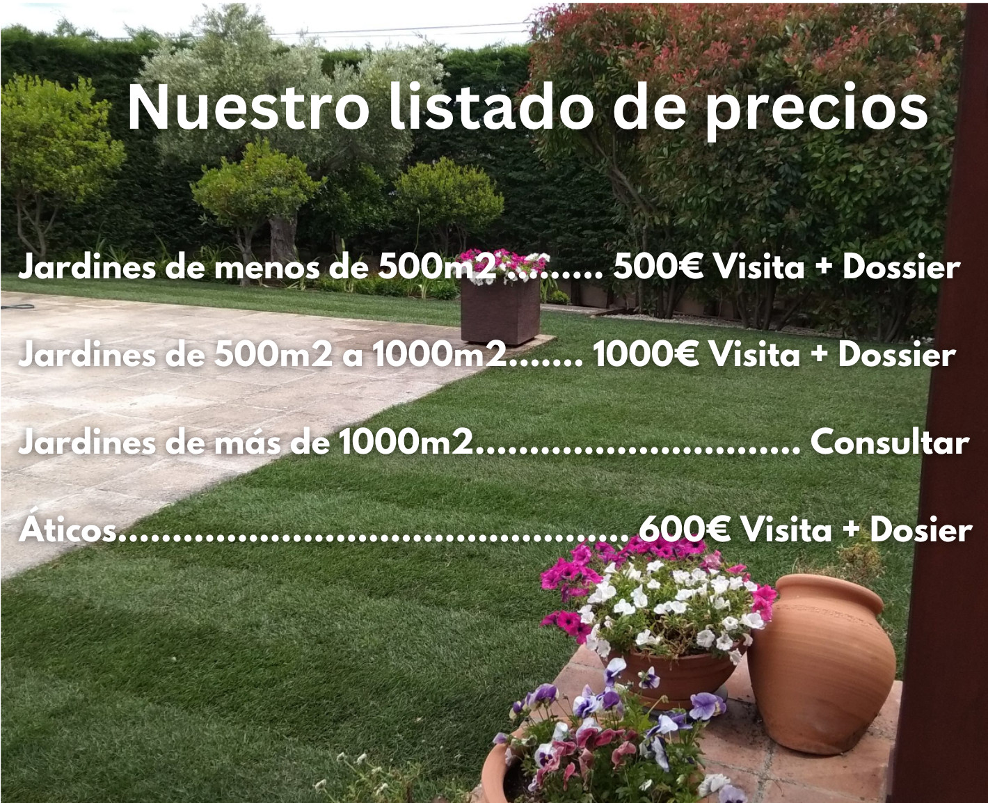 ¿Cómo trabajamos? | Precios