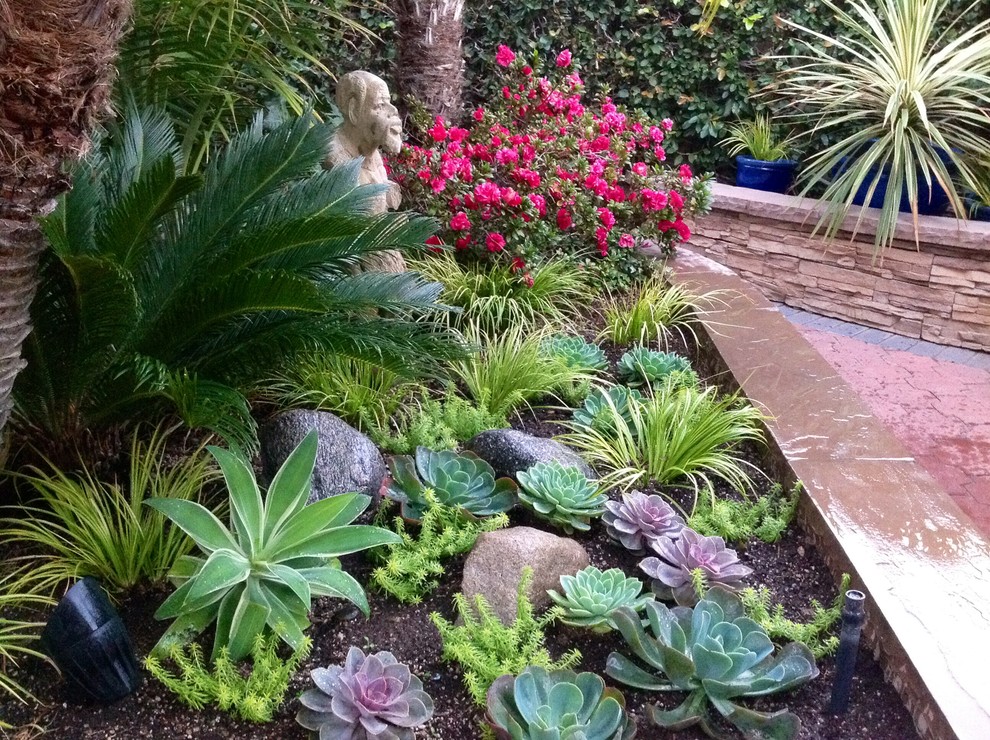 Photo of a modern garden in Orange County.