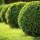 Spruce Up Landscaping & Snow Removal
