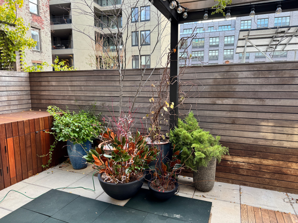 Williamsburg terrace