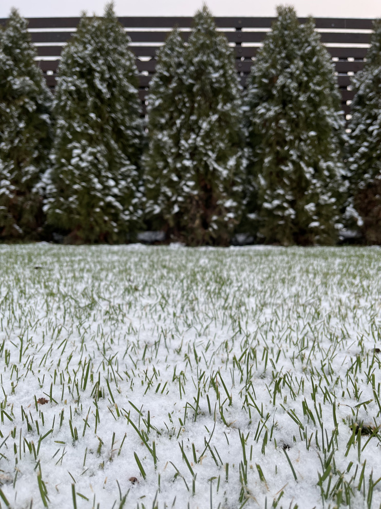 КП "Кратово"