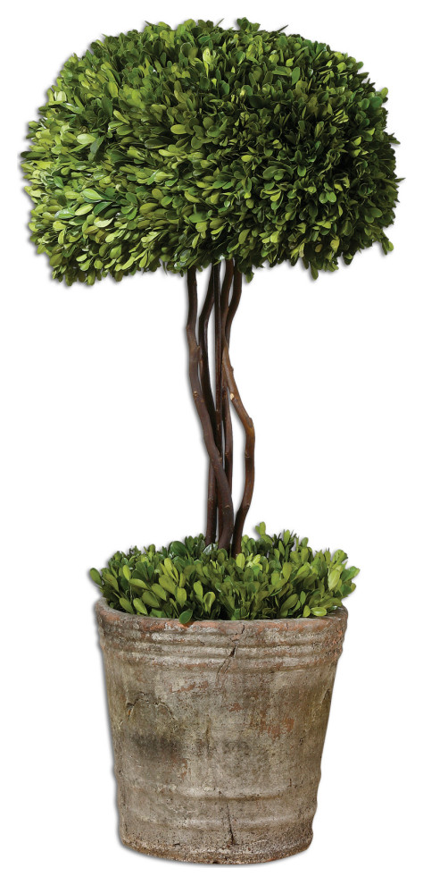 Tree Topiary Preserved Boxwood Planter