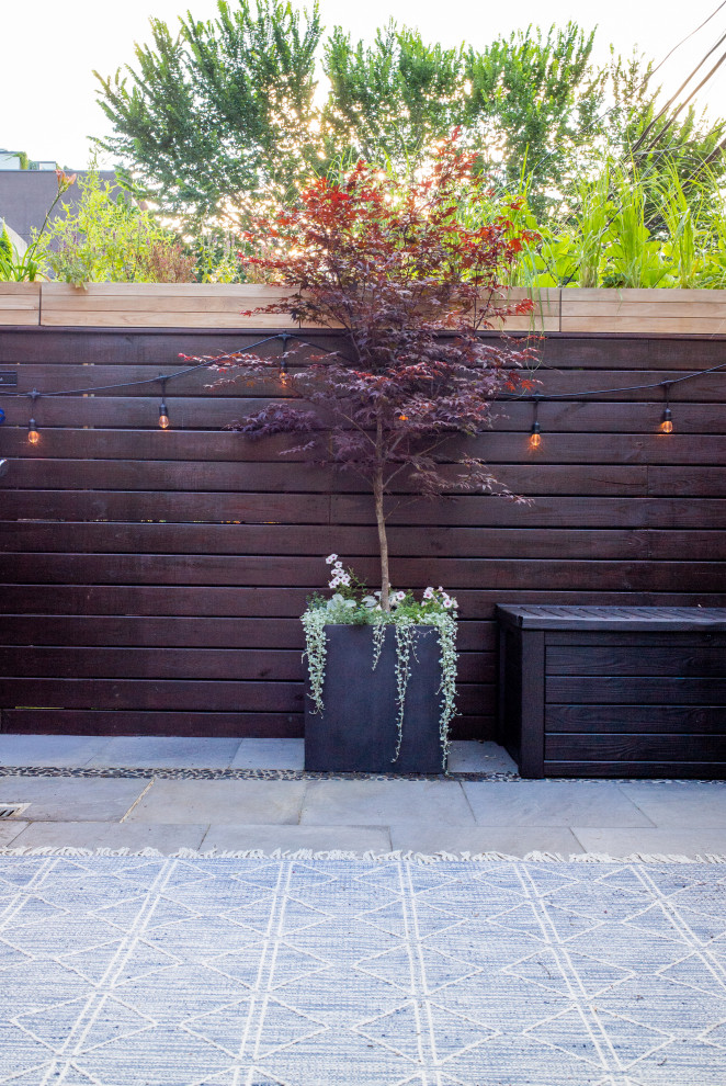 Photo of a small backyard patio in Austin with a container garden, concrete slab and an awning.