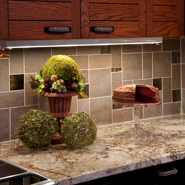 Transitional Remodel transitional