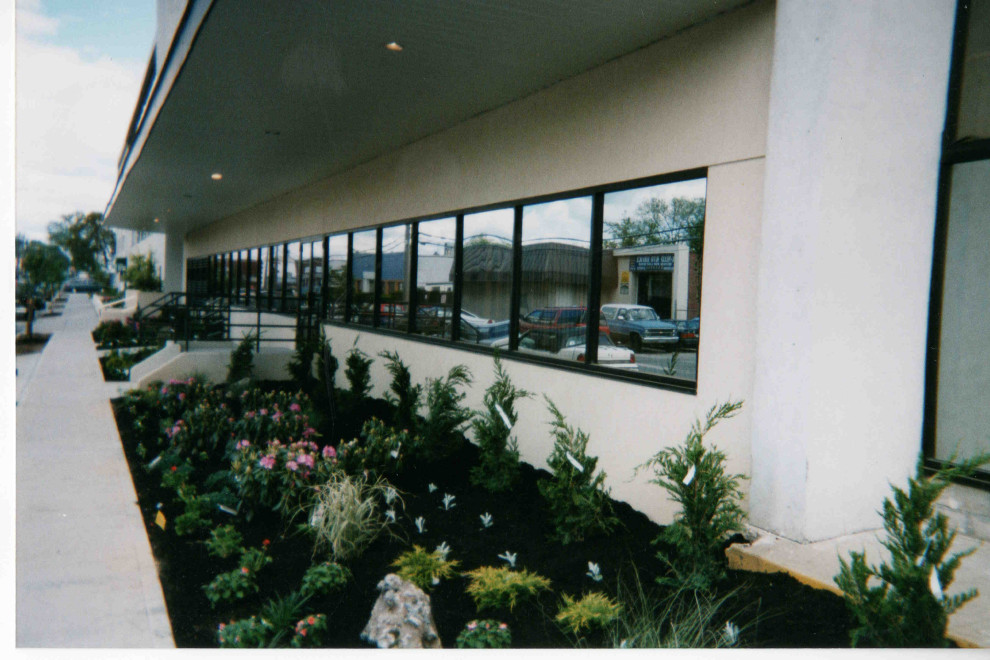 Commercial landscape planting