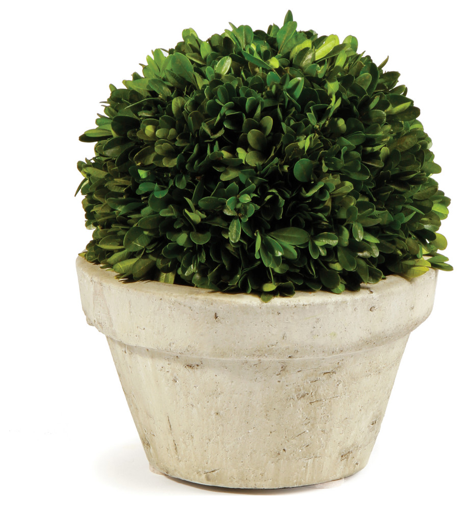 Boxwood Ball With Pot, Large Artificial Plants And Trees by Napa