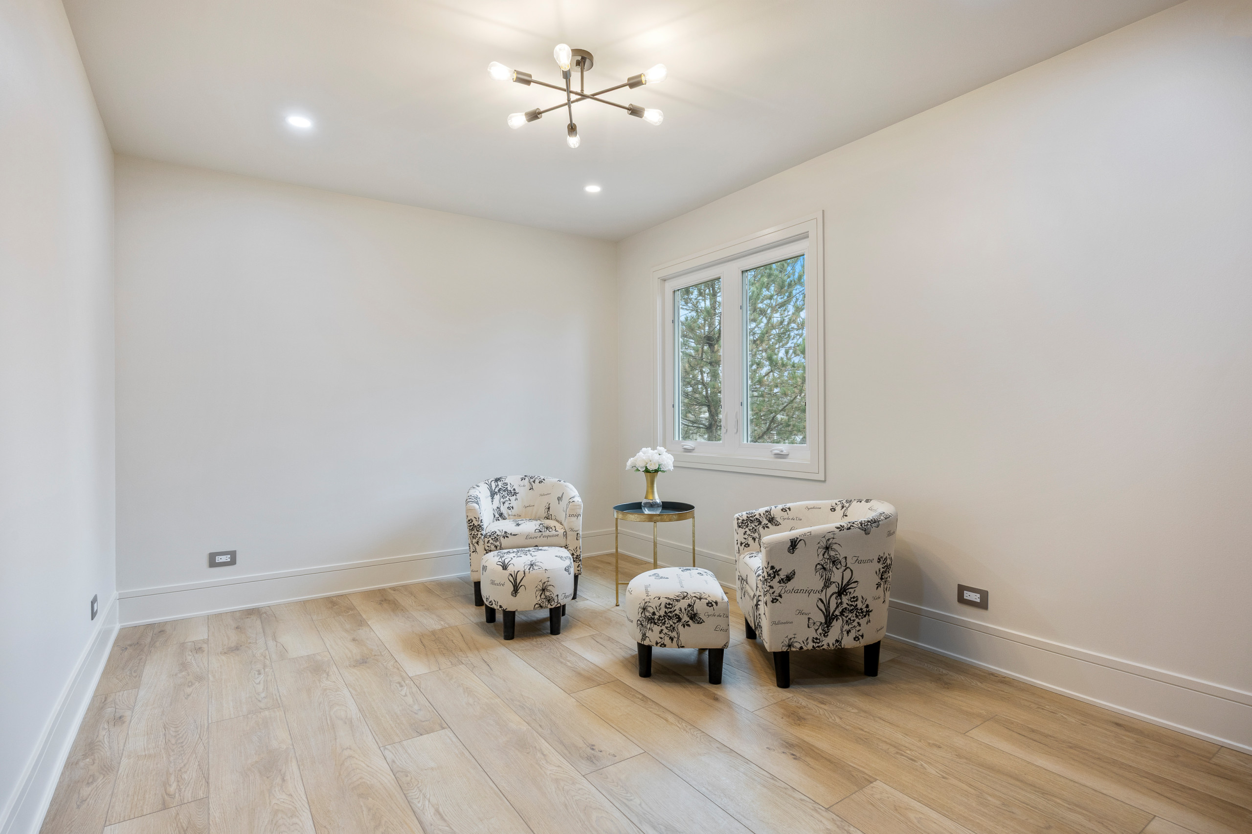 Custom Whole Home Remodeling in Naperville