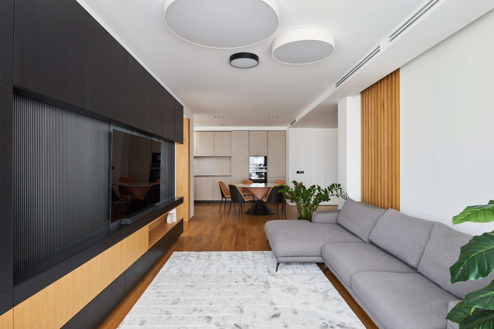 Фото TV зоны для DOMANI