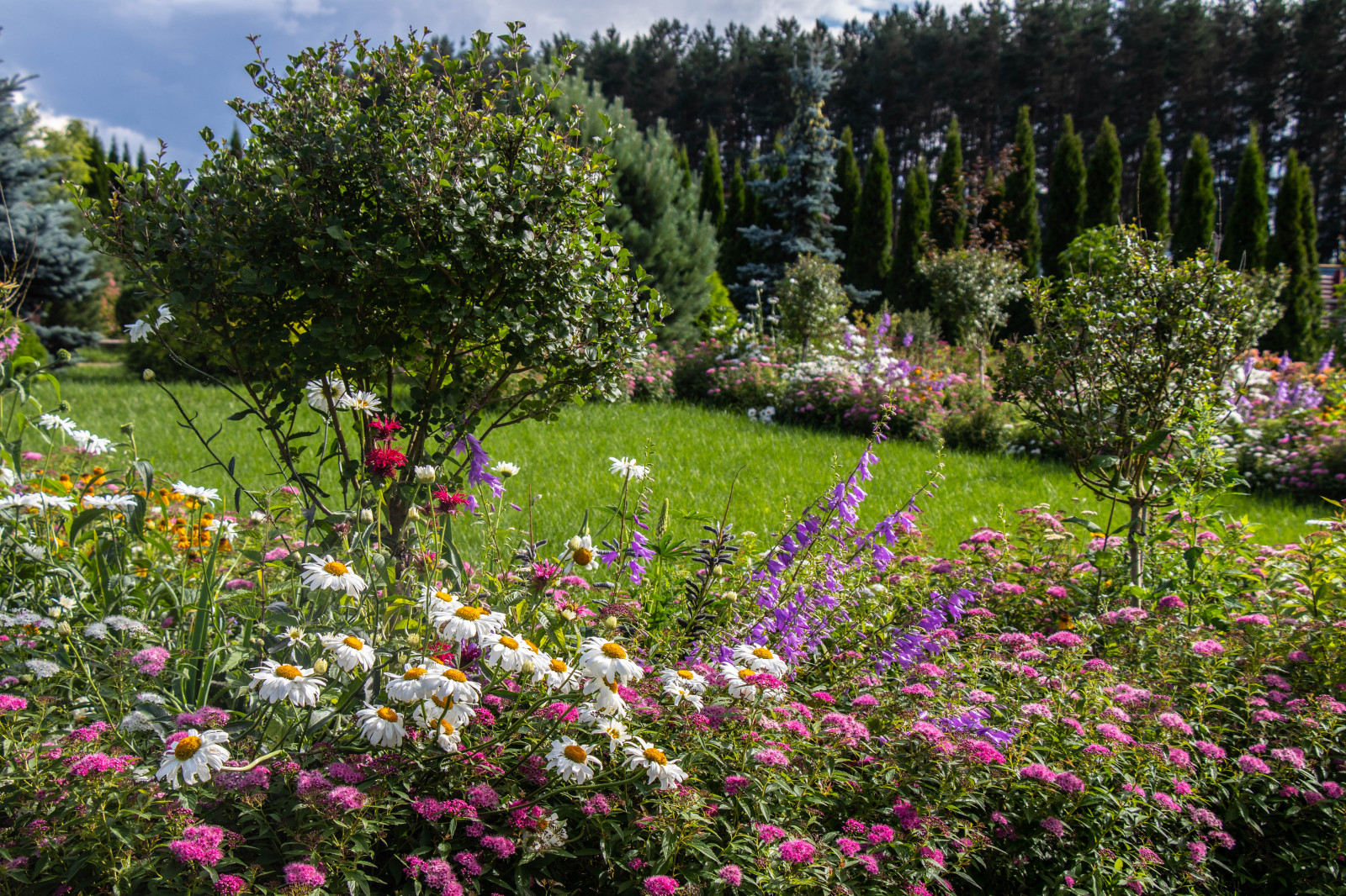 Сосновые берега