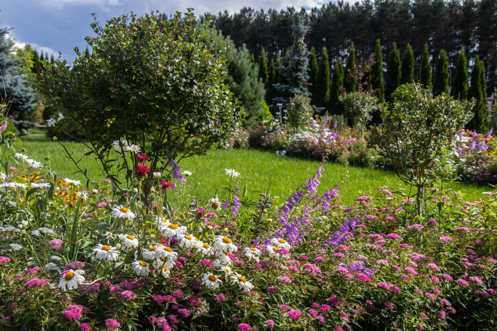 Сосновые берега