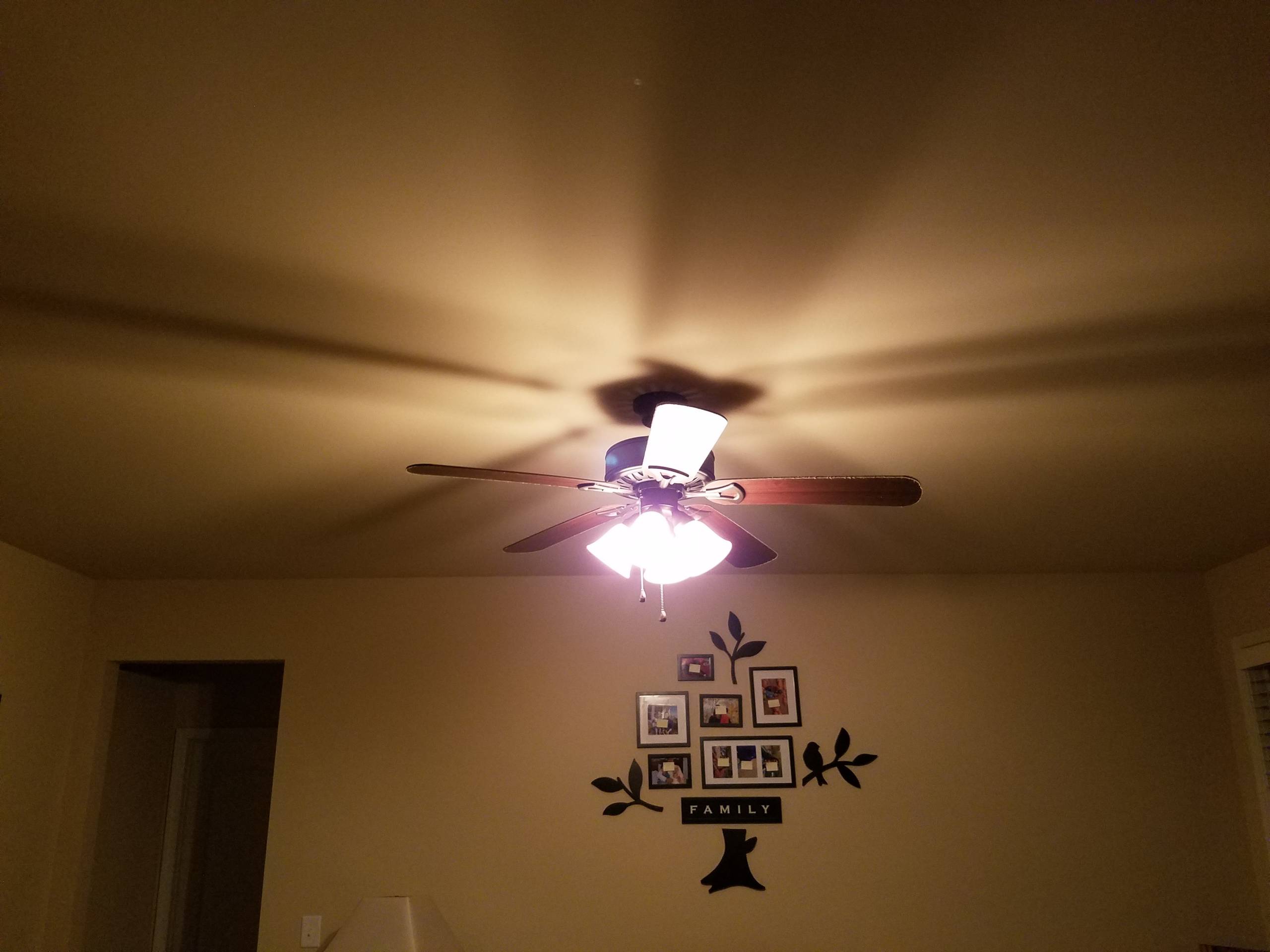 Light and ceiling fan installation