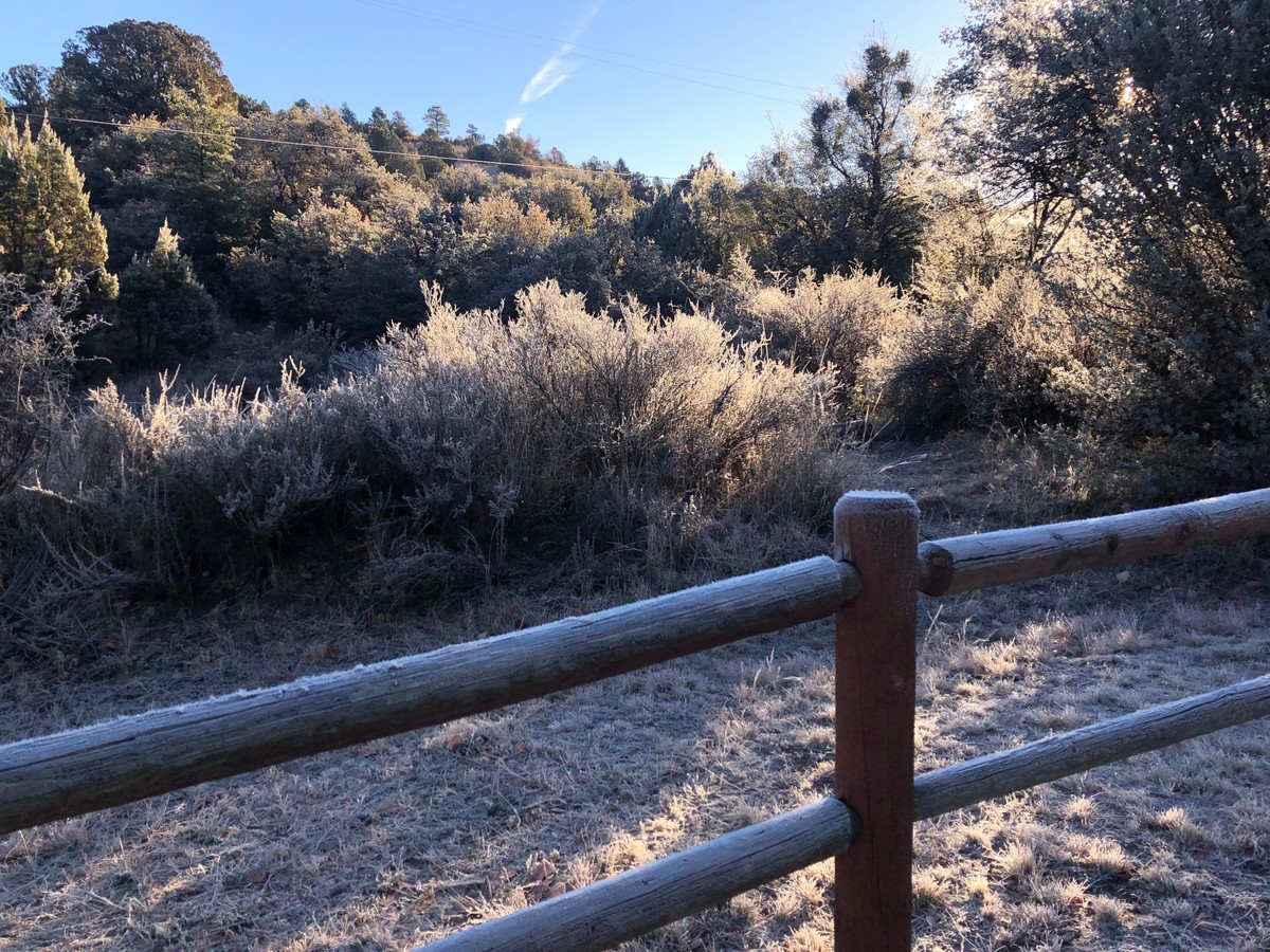 Jane Callaway Photo Prescott Az Us