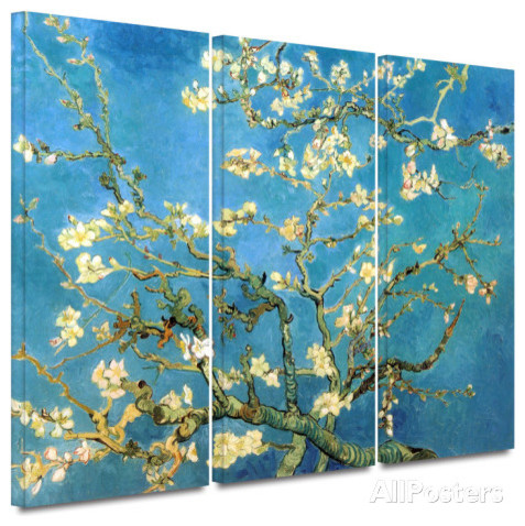 Almond Blossom 3 piece gallery-wrapped canvas