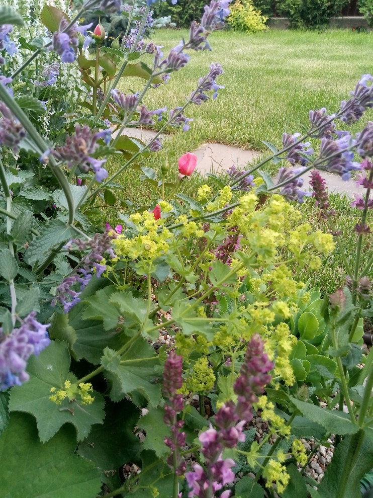 Зелёное удовольствие