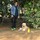 saujanya_shrivastava