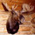 gary_saunders32