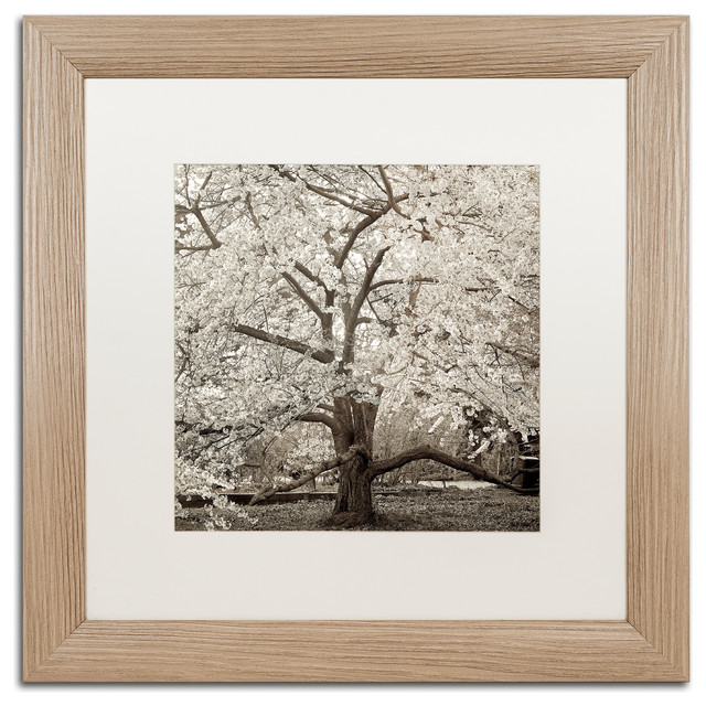 Alan Blaustein 'Hampton Magnolia II' Art Contemporary Prints And