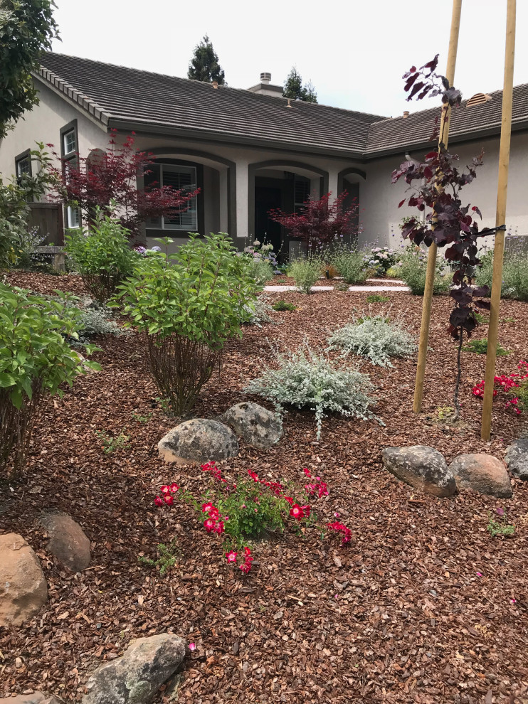 Benicia Low-maintenance front yard