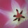 Last commented by Amy Lambert