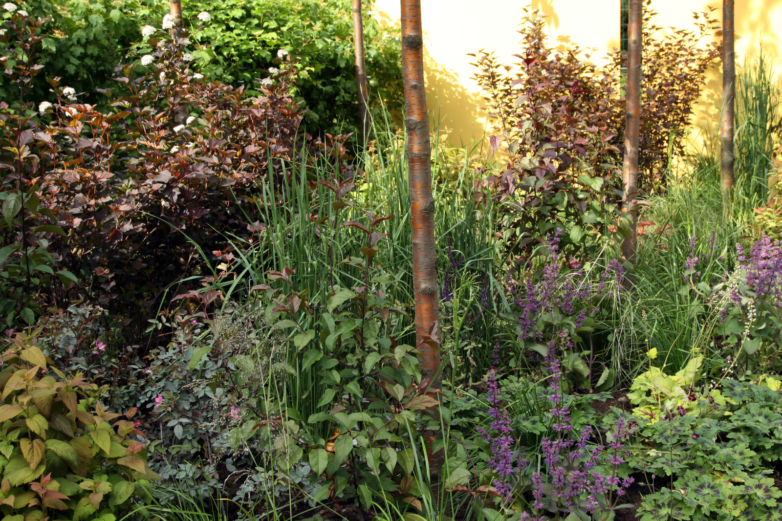 Выставочный сад "Азбука сада"