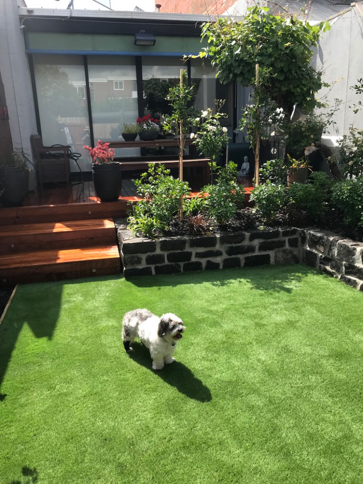 This is an example of a small contemporary backyard full sun formal garden for summer in Melbourne with with privacy feature and decking.