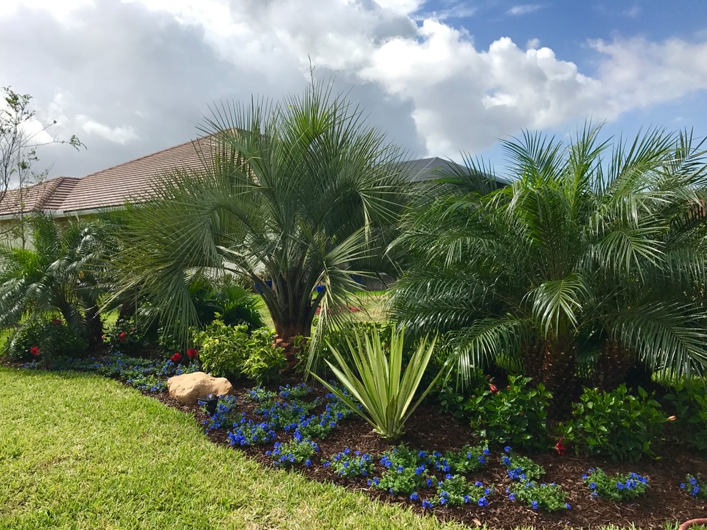 Photo of a mid-sized tropical backyard partial sun formal garden in Orlando with mulch.