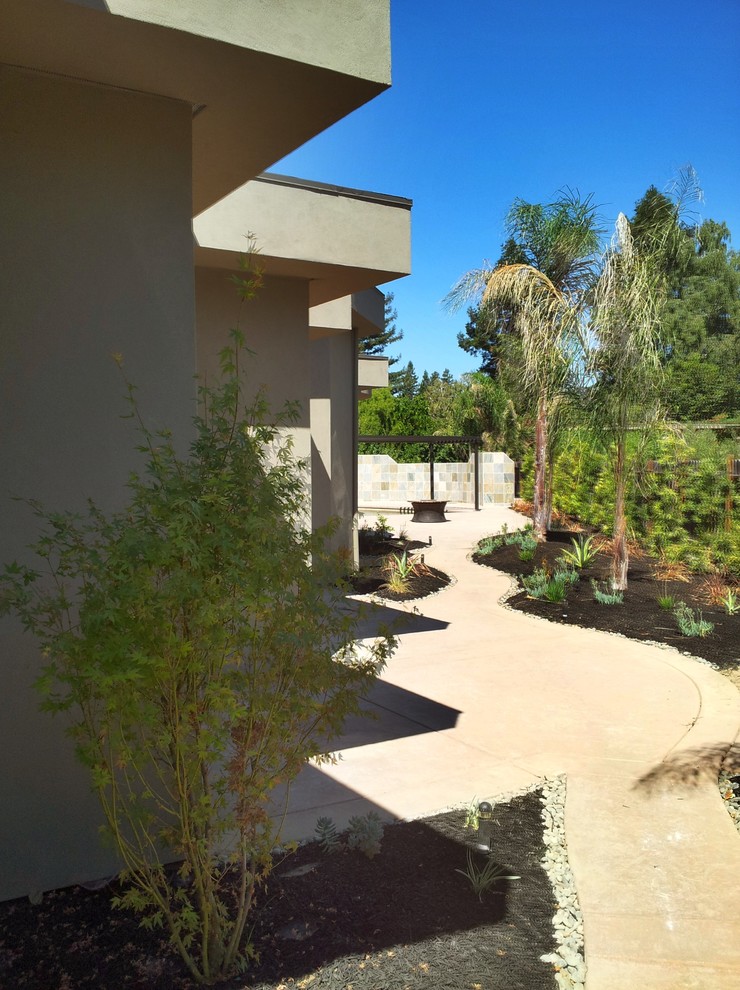 Davis Modern Contemporary