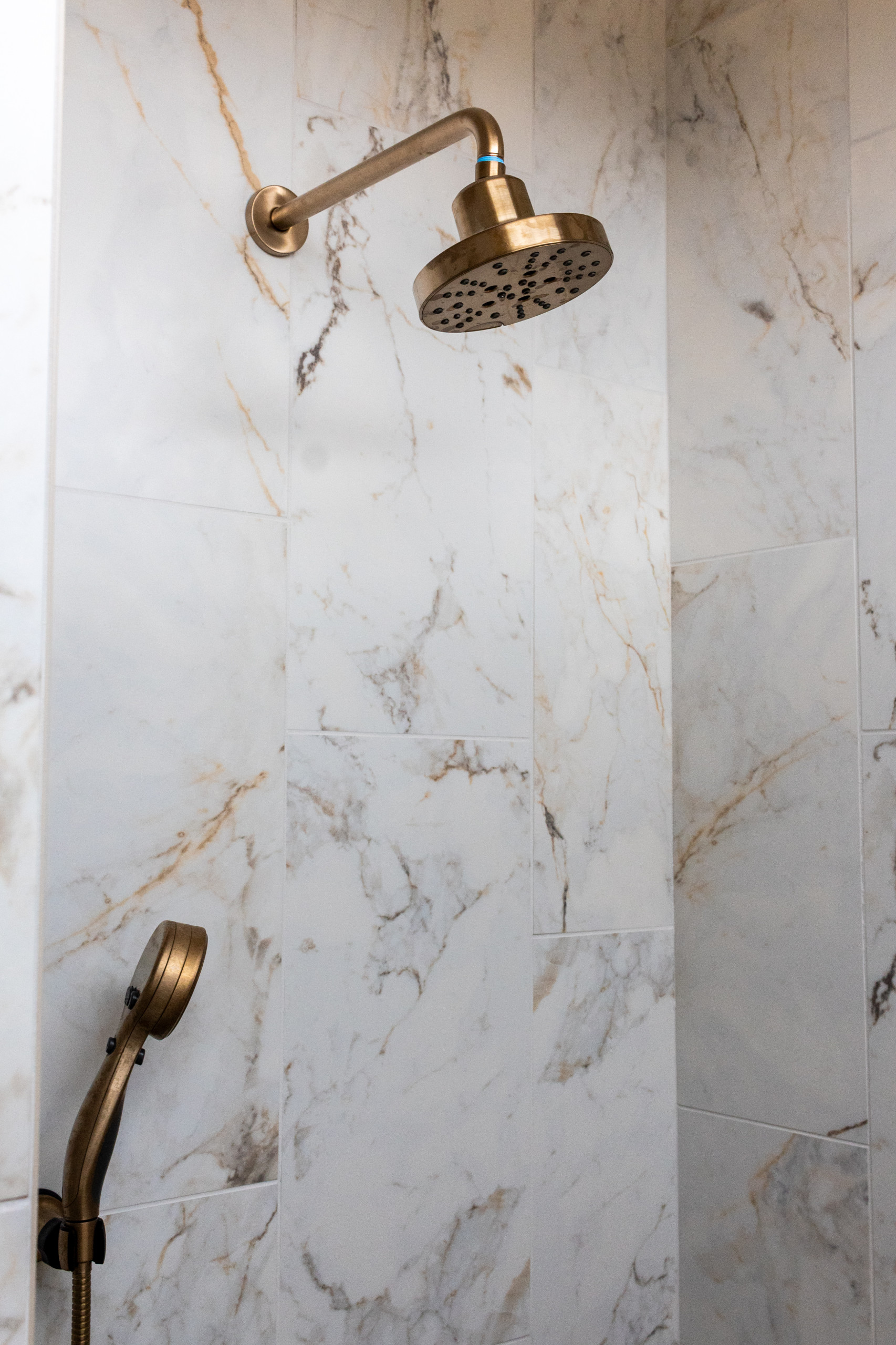 Primary Bathroom Shower